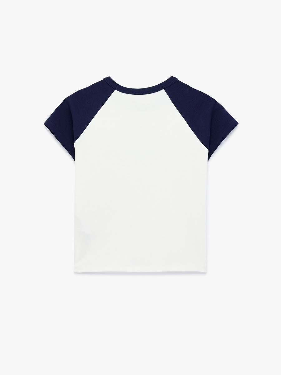 Seashells Graphic Crop T-Shirt - Short Sleeve Crew Neck