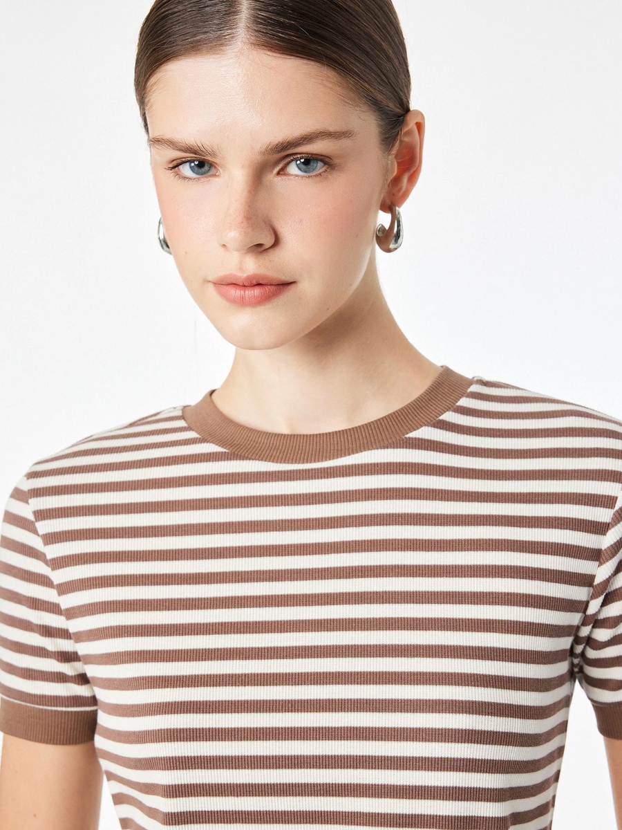 Womens Brown Striped Crew Neck T-Shirt