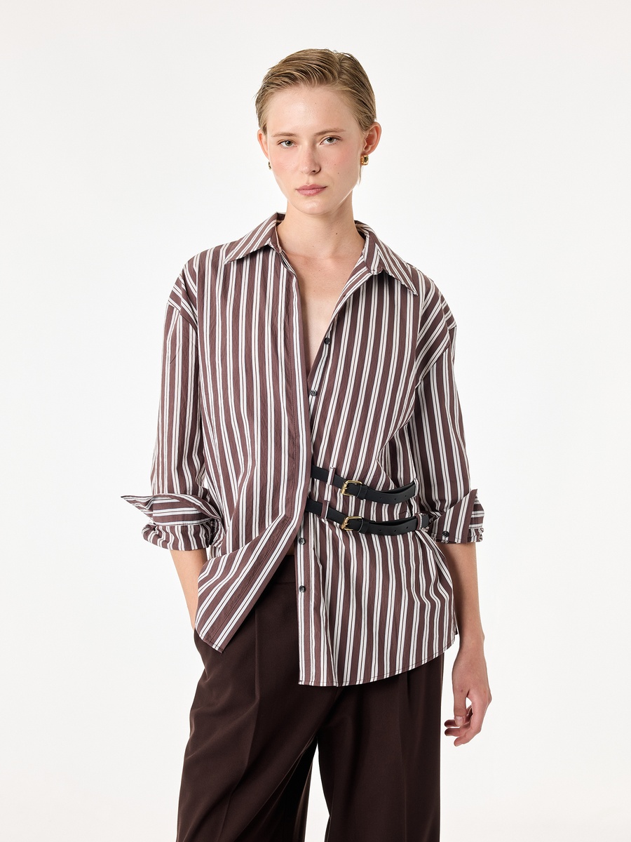 Brown Striped Long Sleeve Regular Fit Shirt