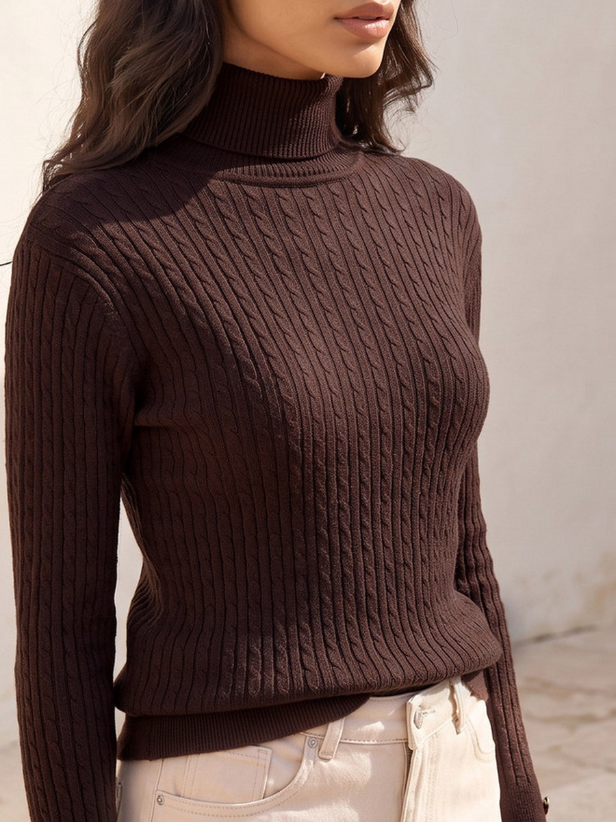 Regular Fit Cable Knit Sweater with Turtleneck