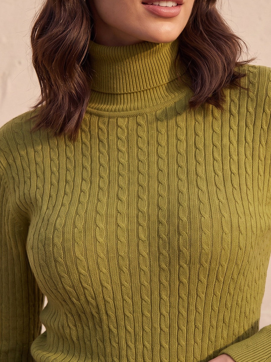 Regular Fit Cable Knit Sweater with Turtleneck