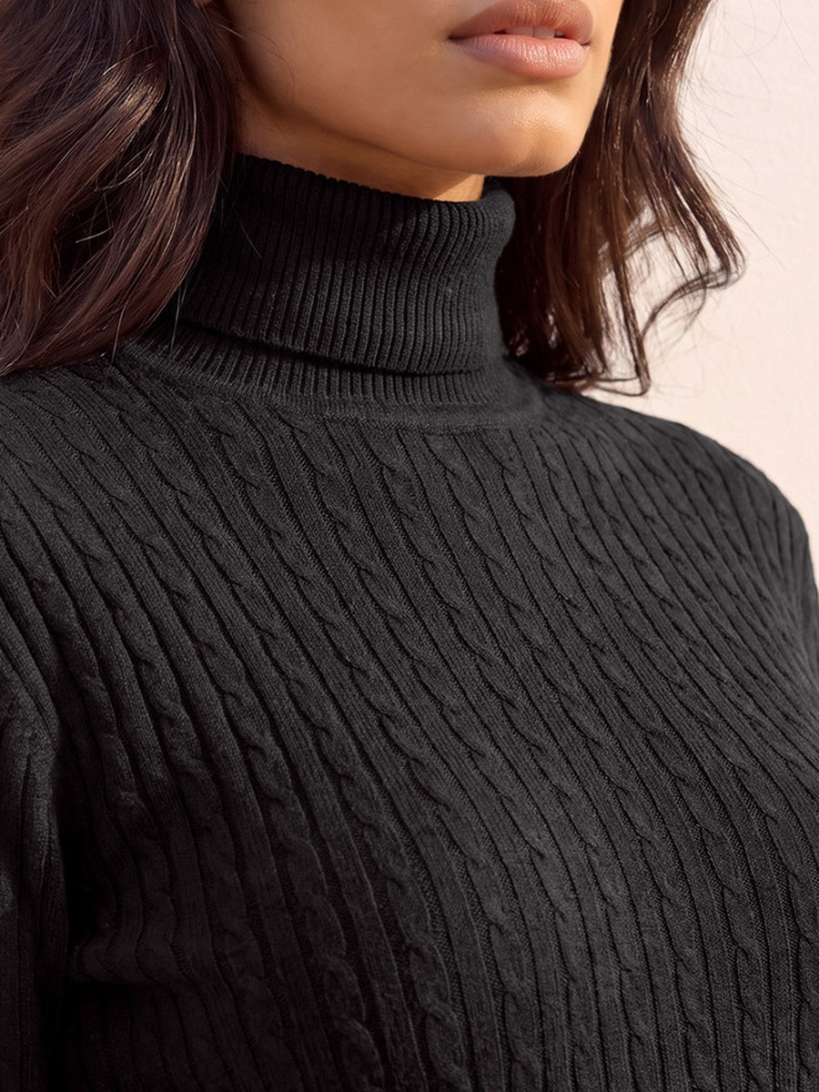 Regular Fit Cable Knit Sweater with Turtleneck