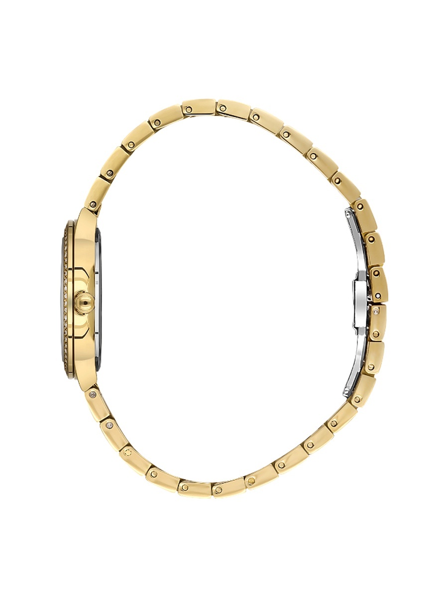 Raffinata Gold Stainless Steel Watch for Women BG.1.10659-3