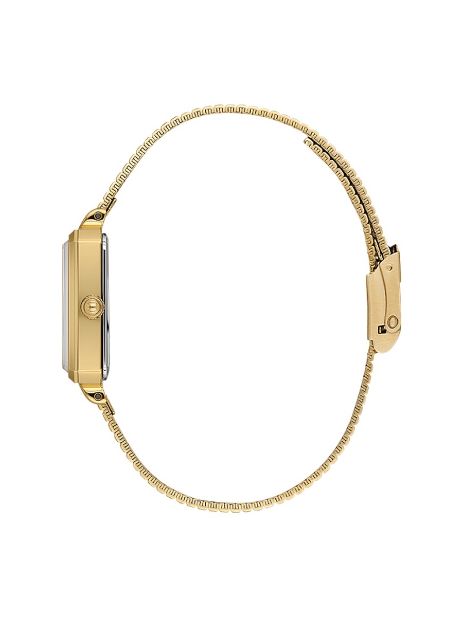 Premium Gold Mesh Band Watch for Women DK.1.14264-3