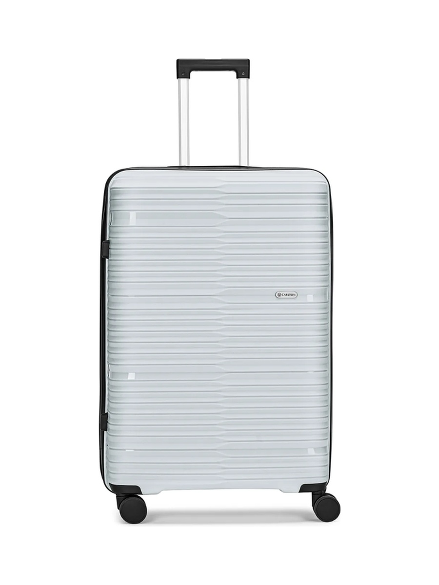 Alton PP 8W Large Check-In Luggage - Grey