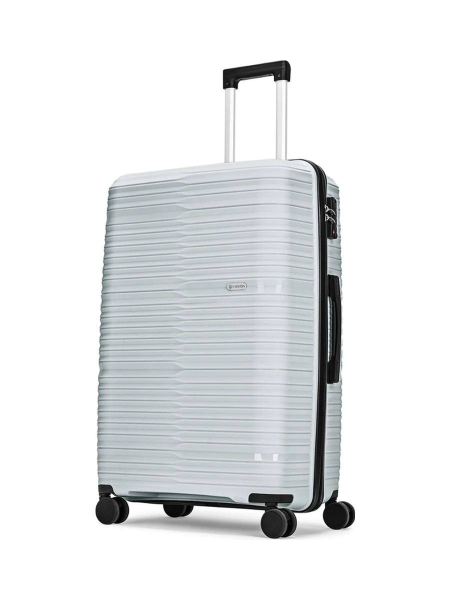 Alton PP 8W Large Check-In Luggage - Grey