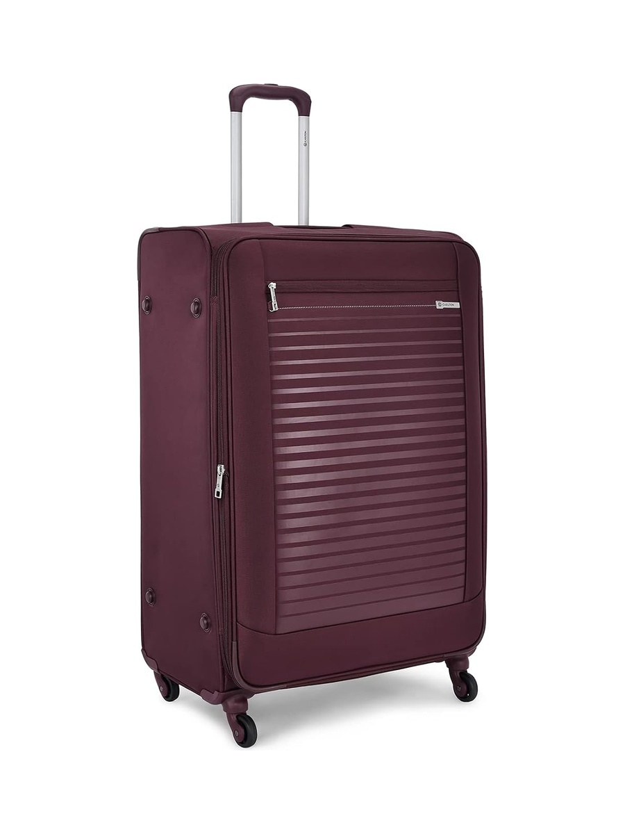 Wexford Softside 4W Medium Check-In Luggage - Purple