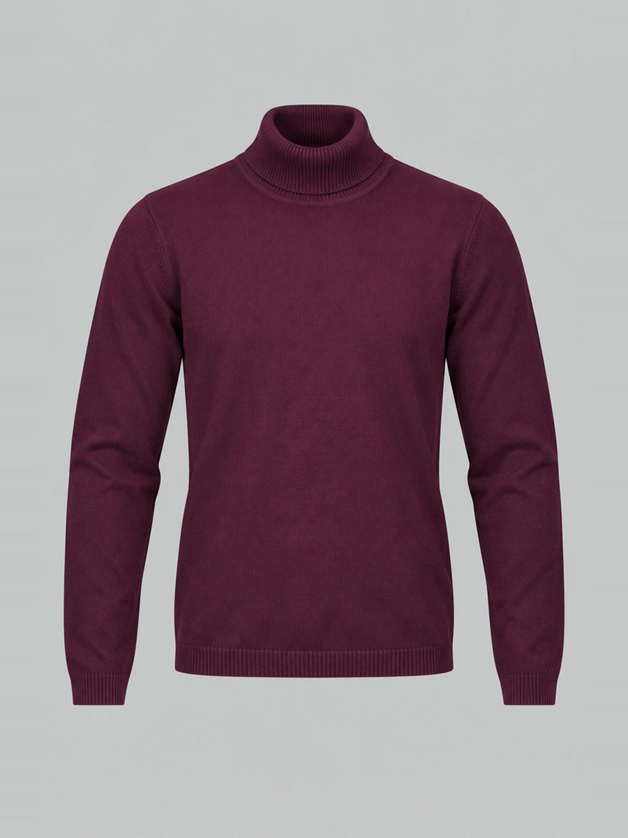 Classic Turtleneck Knit Sweater