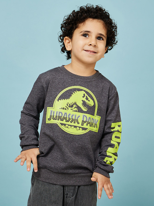 Jurassic park sweatshirt top
