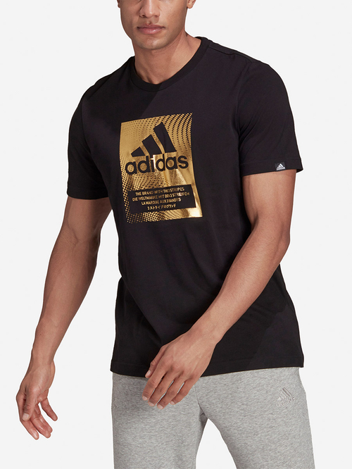 Buy Foil Logo Box Graphic Print Short Sleeves Regular T Shirt Black For Men Styli UAE