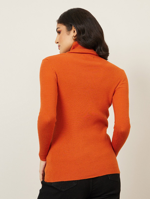 Buy Fitted Regular Length Turtle Neck Ribbed Sweater Orange For Women Styli UAE