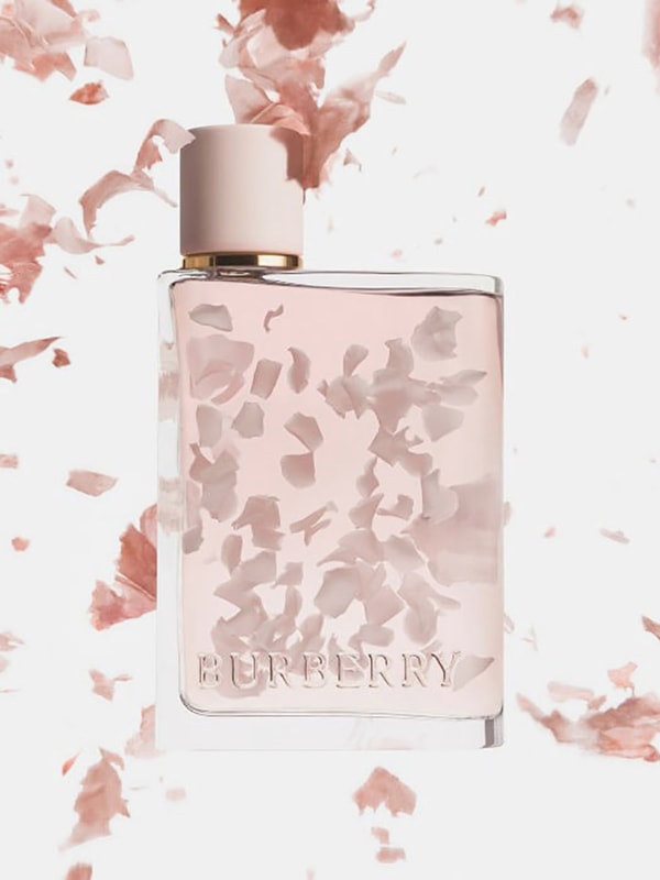 日本限定 おすそ分けファイル♡ スタンペリア・Rose Parfum♡ A5