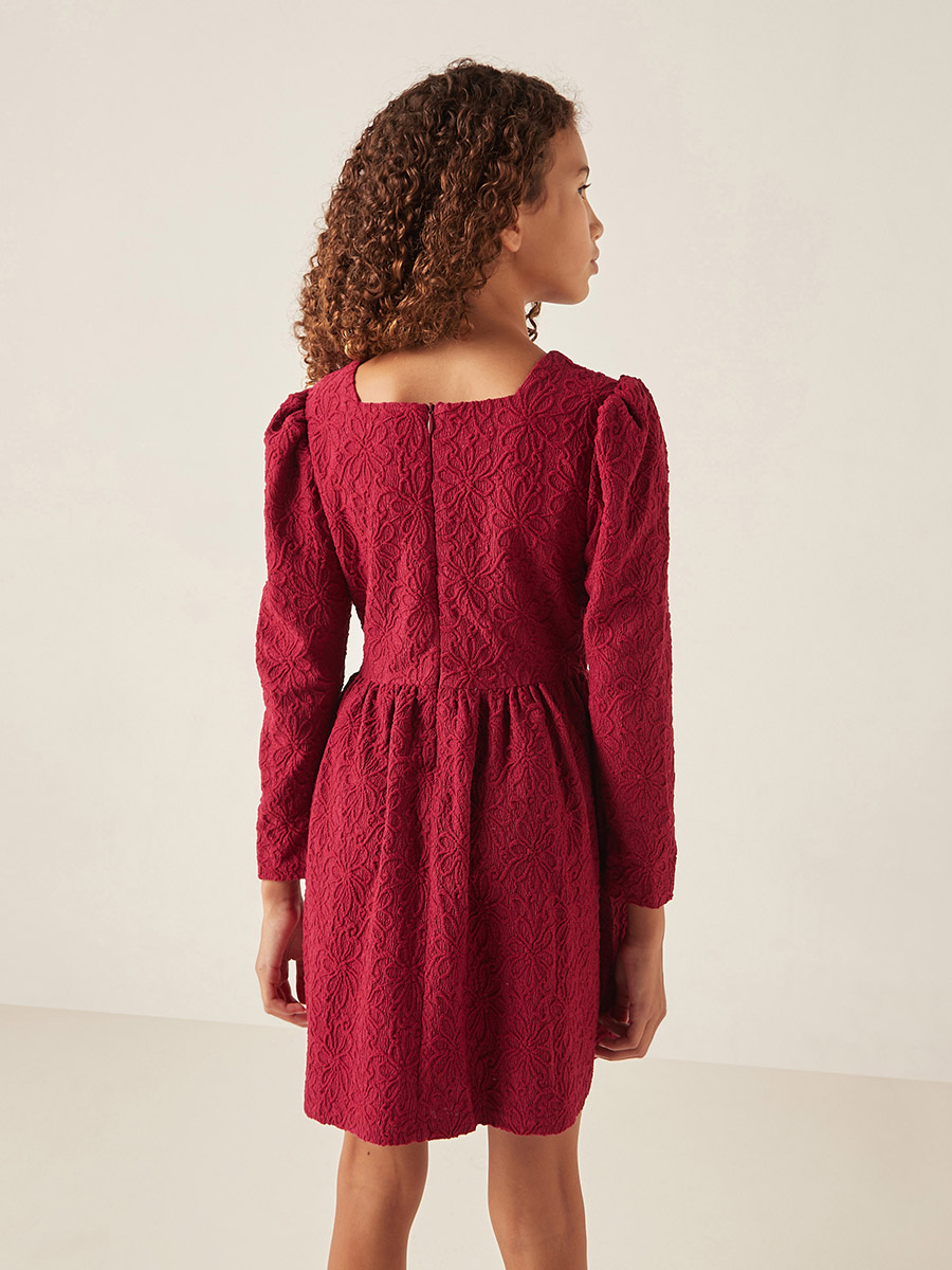 Embroidered skater dress hotsell