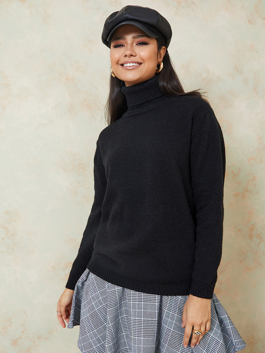 Turtle Neck Regular Length Boxy Fit Sweater