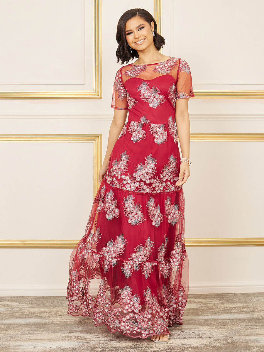 Embroidered Mesh Insert A-Line Maxi Dress For Women at UAE Styli