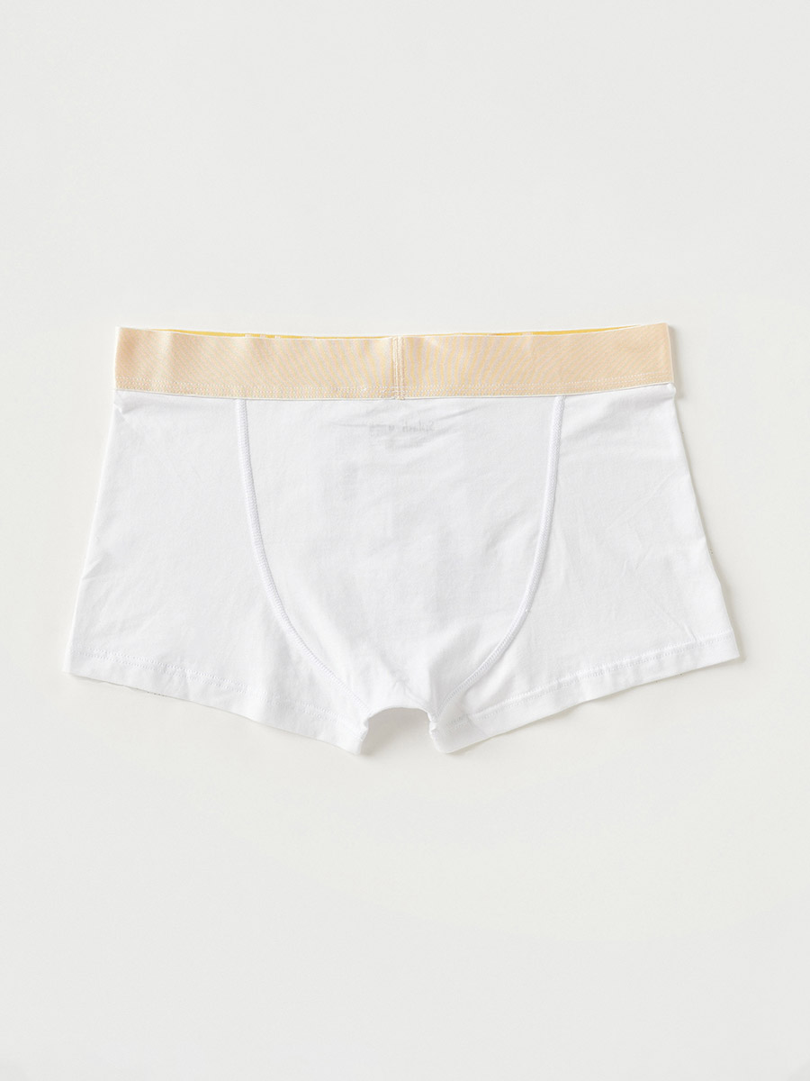 Pack of 3 - Solid Briefs with Elasticated Waistband